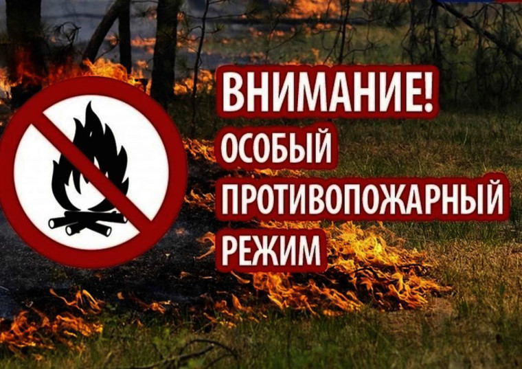 Весенне-летний пожароопасный период.